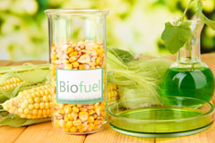 Hunstanton biofuel availability